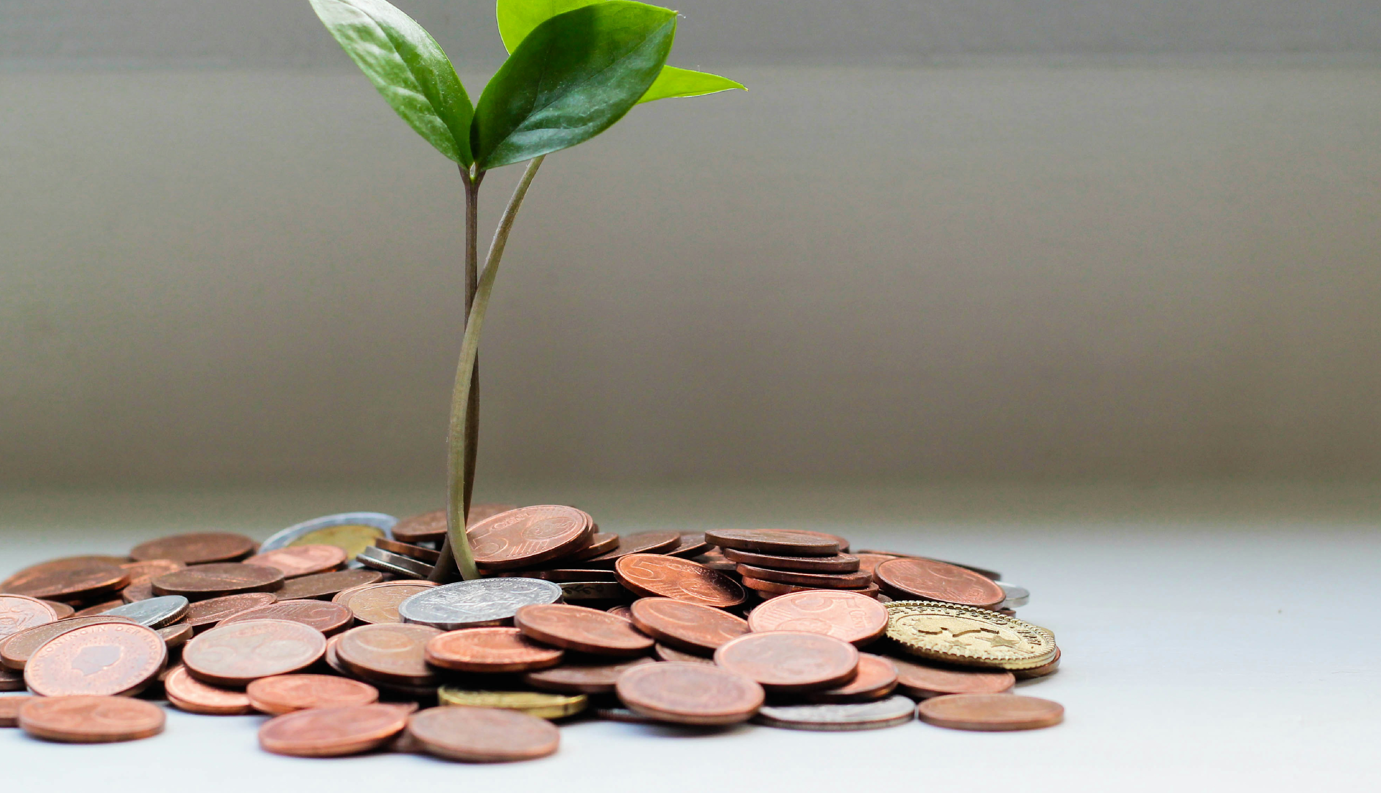 Cash for College